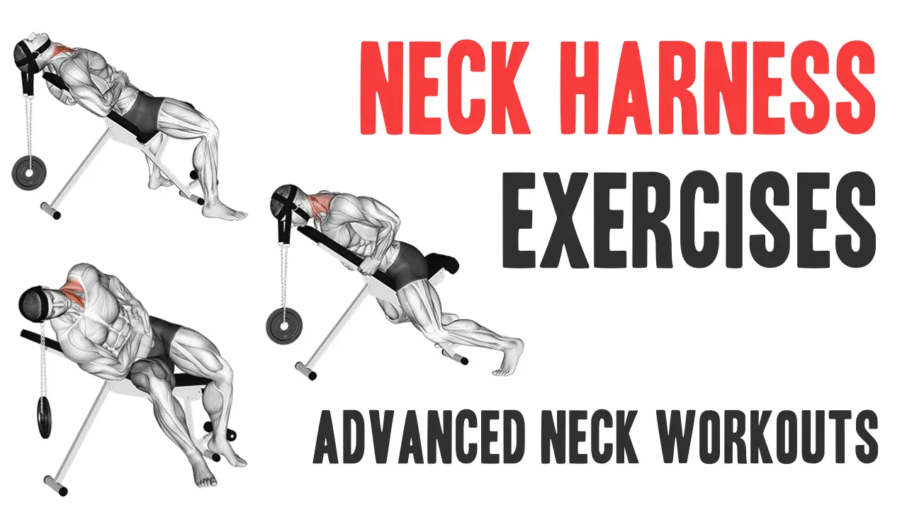 3 Weighted Neck Band Exercises: Advanced Neck Exercises