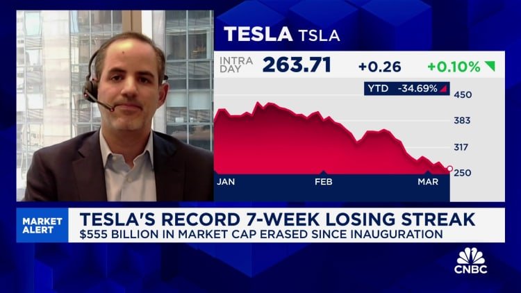 Tesla actions decreased every week since Elon Musk went to Washington