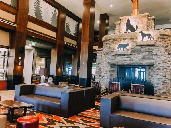 Big Wolf Hotel Scottsdale Review Big Wolf Hotel Scottsdale Review